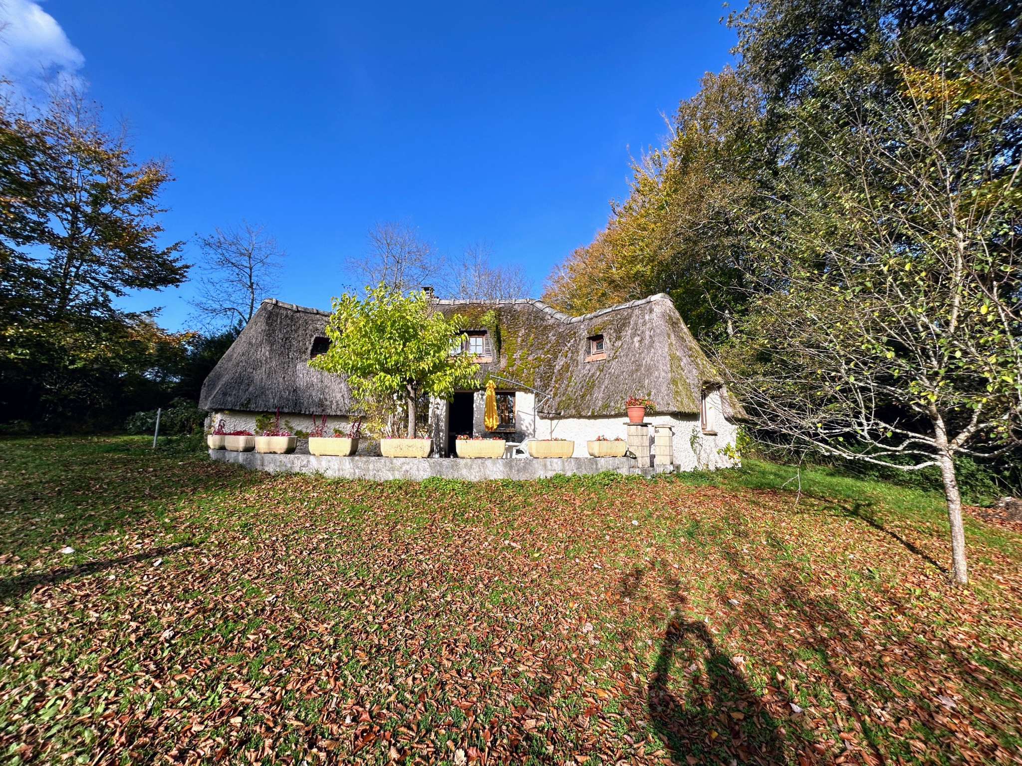 Photo bien immobilier